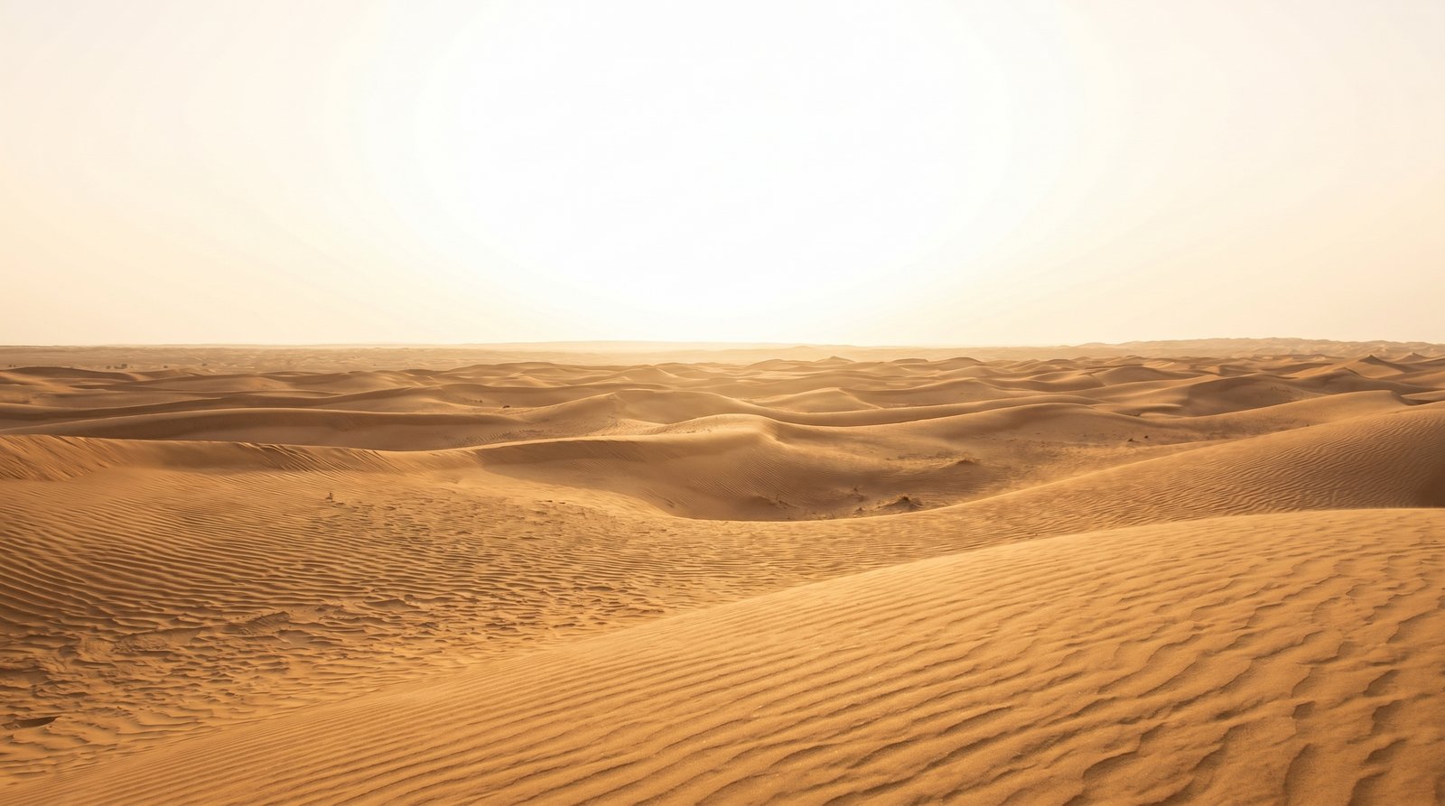 Desert dunes at golden hour